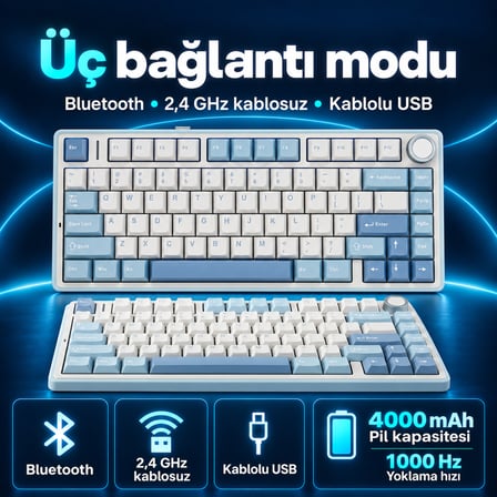 Aula F75 Mekanik RGB TKL Gray Switch Kablosuz Makrolu Hot Swap Klavye Buz Mavisi