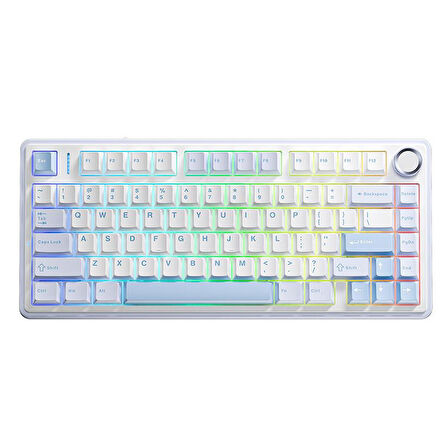 Aula F75 Mekanik RGB TKL Gray Switch Kablosuz Makrolu Hot Swap Klavye Buz Mavisi