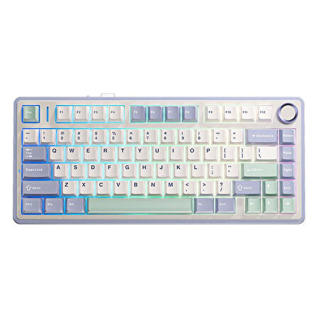 Aula F75 Mekanik RGB TKL Gray Switch Kablosuz Makrolu Hot Swap Klavye Pastel