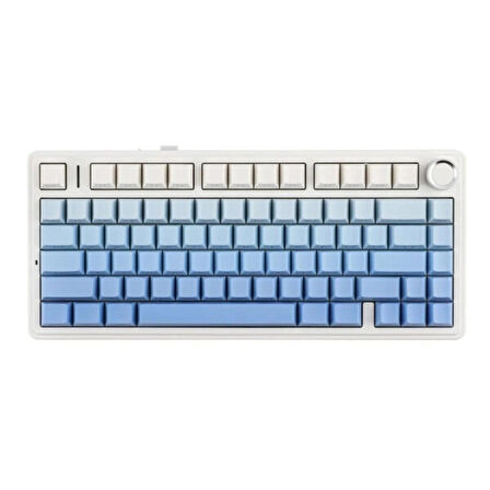 AULA F75 Mavi LEOBOG Reaper Switch RGB Kablosuz Hotswap Mekanik Gaming Klavye
