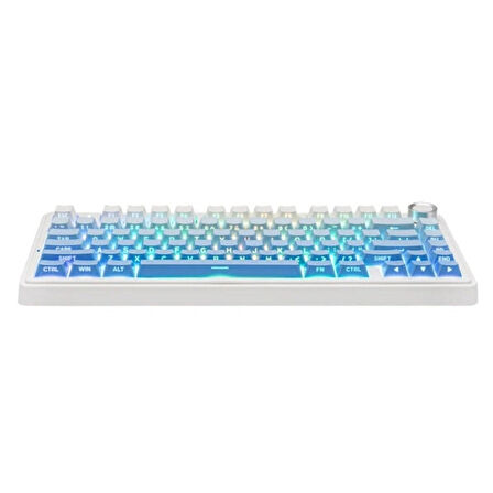 AULA F75 Mavi LEOBOG Reaper Switch RGB Kablosuz Hotswap Mekanik Gaming Klavye