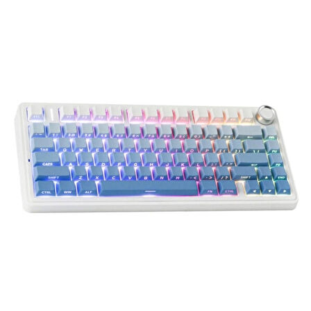 AULA F75 Mavi LEOBOG Reaper Switch RGB Kablosuz Hotswap Mekanik Gaming Klavye