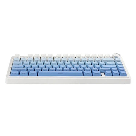 AULA F75 Mavi LEOBOG Reaper Switch RGB Kablosuz Hotswap Mekanik Gaming Klavye