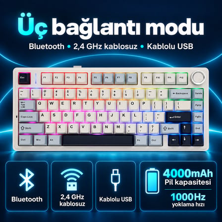 Aula F75 Mekanik RGB TKL Reaper Switch Kablosuz Makrolu Hot Swap Klavye Lacivert