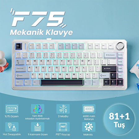 Aula F75 Mekanik RGB TKL Ice Vein Switch Kablosuz Makrolu Hot Swap Klavye Lacivert