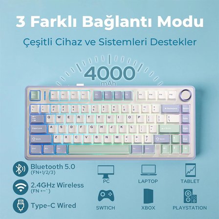 Aula F75 Mekanik RGB TKL Ice Vein Switch Kablosuz Makrolu Hot Swap Klavye Pastel