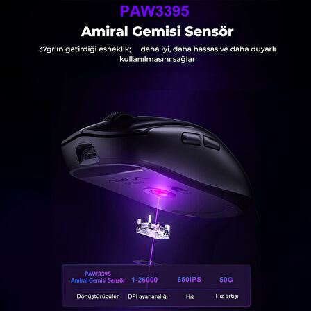 Aula SC800 Lightweight PAW3395 Sensor 26000 DPI 8000Hz Kablolu ve Kablosuz Gaming Oyuncu Mouse Siyah