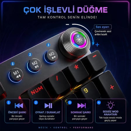 Aula F2058 Bilek Destekli RGB Makrolu Mekanik Kablolu Oyuncu Klavyesi