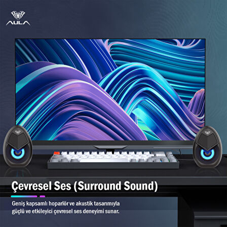 Aula N-69 2*3W RGB LED Işıklı Masaüstü Oyuncu Laptop PC Bilgisayar Hoparlörü