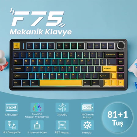 Aula F75 Mekanik RGB Klavye TKL Crescent Switch Tri Mode Kablosuz Makrolu Hot Swap Gaming Oyuncu Klavyesi Siyah