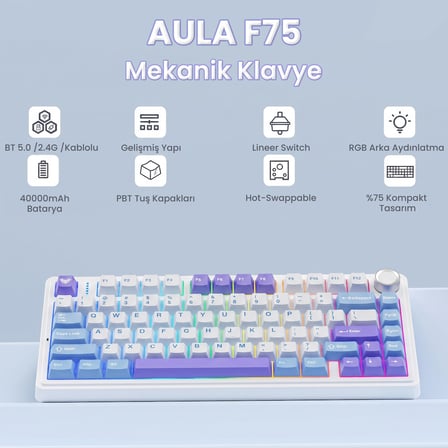 Aula F75 Mekanik RGB TKL Star Vector Switch Kablosuz Makrolu Hot Swap Klavye Mor