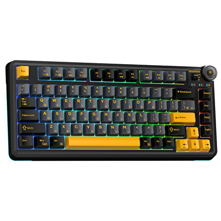 Aula AU75 3 Modlu RGB Hot Swap Mekanik TKL Seiya Switch Kablosuz Makrolu Klavye Siyah