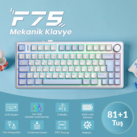 Aula F75 Mekanik RGB TKL GrayWood V4 Switch Kablosuz Makrolu Hot Swap Türkçe Q Klavye Buz Mavisi