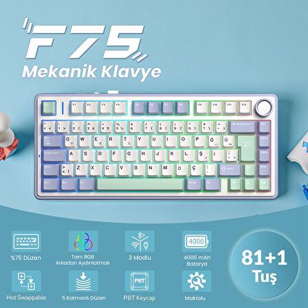 Aula F75 Mekanik RGB TKL GrayWood V4 Switch Kablosuz Makrolu Hot Swap Türkçe Q Klavye Pastel