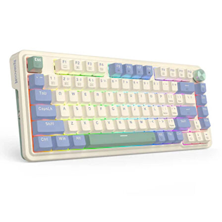 UCAL K673 PRO Vintage White %75 Red Switch RGB Kablosuz Hotswap Türkçe Mekanik Gaming Klavye