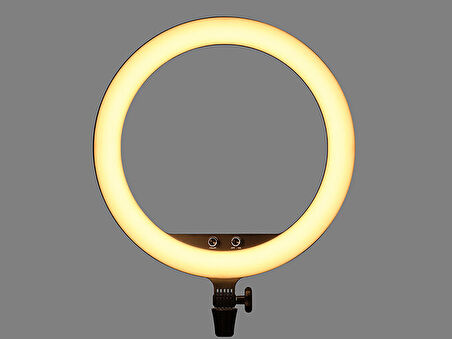 Godox LR150 LED Ringlite Bicolor Sürekli Ring Işık