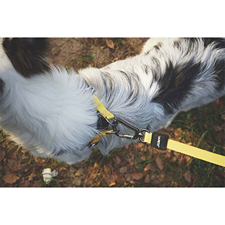 M-Pets Wild Safari Köpek Gezdirme Kayışı Sarı Small-Medium 1x120 Cm 