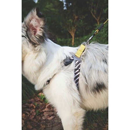 M-Pets Wild Safari Harness Köpek Göğüs Tasması XS