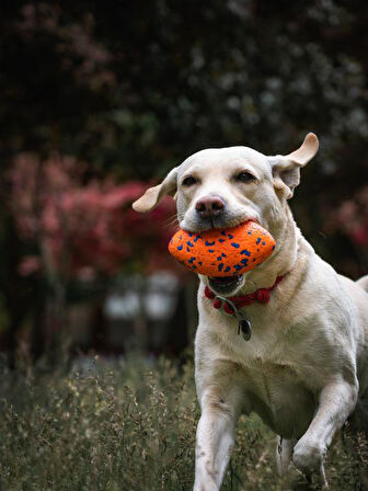 M-PETS BLOOM BALL OYUN TOPU PARÇALANMAZ ORANGE/BLUE