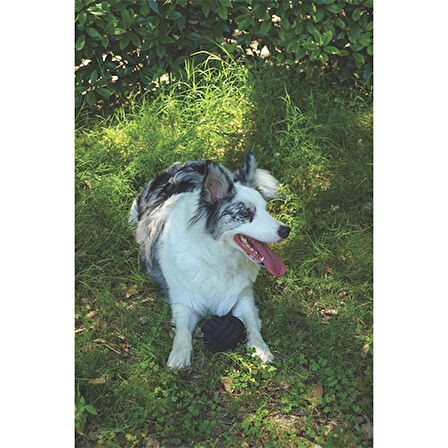 M-Pets Coto Örgü Top Köpek Oyuncağı Siyah 9,5 Cm 