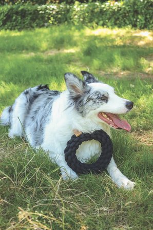 M-Pets Coto Örgü Halka Köpek Oyuncağı 18 Cm Siyah