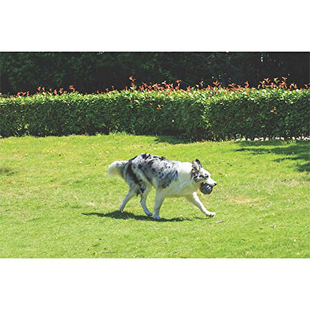 M-Pets Coto Örgü Top Köpek Oyuncağı Gri 9,5 Cm 