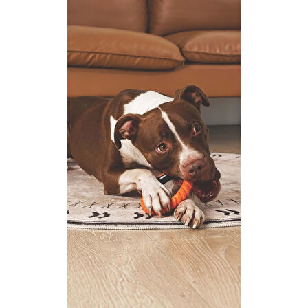 M-PETS RING KING KÖPEK OYUNCAĞI SINGLE ORANGE/BLACK