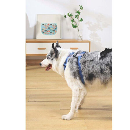 M-Pets Gentle Köpek Göğüs Tasması Mavi L
