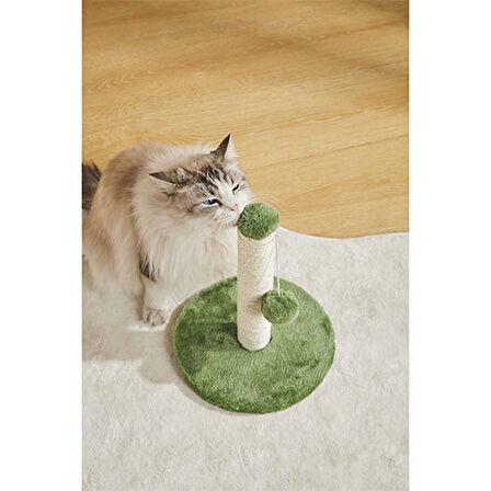 M-Pets My First Ponponlu Kedi Tırmalama Tahtası Yeşil 24x24x30 Cm 