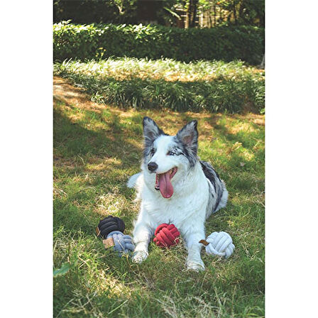 M-Pets Coto Red Ball Örgü Top Köpek Oyuncağı 9,5 Cm 