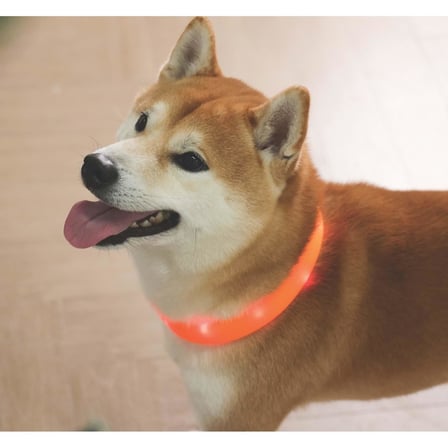m-pets flash led boyun tasma turuncu (m)