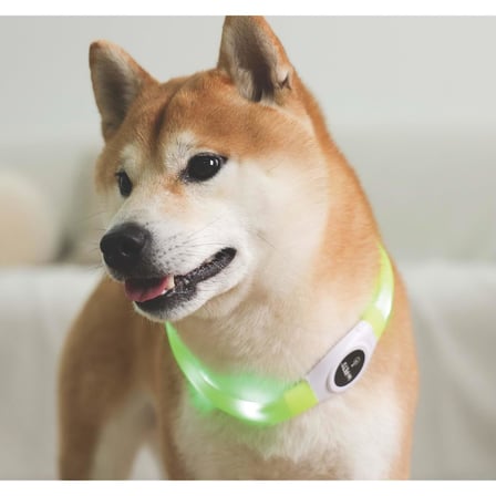 m-pets flash led boyun tasma yeşil (l)