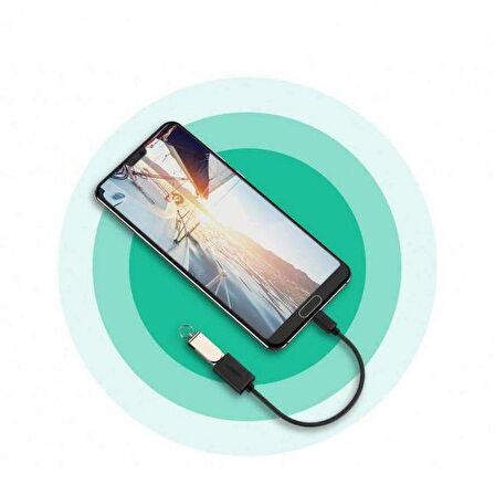 Ugreen Type-C USB 3.0 Dönüştürücü Adaptör Siyah