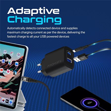 Promate BiPlug-2 17W Yüksek Hızlı Şarj Cihazı, 5V/3A Type-C, 5V/2,4A USB Duvar Şarj Adaptörü, Aşırı Şarj Koruma Siyah
