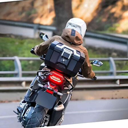 Shad Terra TR-41 Alüminyum Arka Çanta - Silver