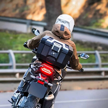 Shad Terra TR-41 Alüminyum Arka Çanta - Black