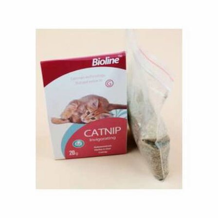 Catnip Kedi Otu 20 Gr