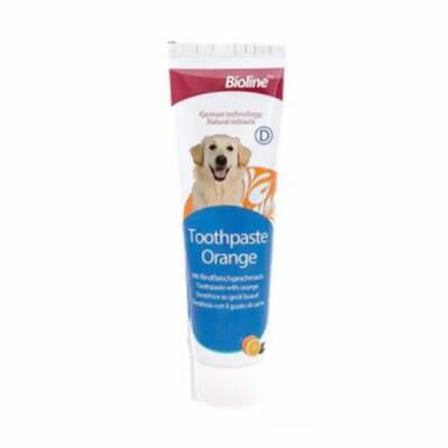 Portakal Aromalı Köpek Diş Macunu 100 Gr