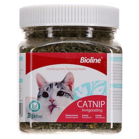 Catnip Kedi Otu 20 Gr