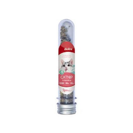 Catnip Kedi Otu 5 Gr