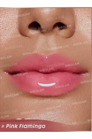 SHEGLAM Booster Shine Plumping Lip Gloss-Pink Flamingo