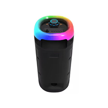 HEPU HP-113 5W Mikrofonlu RGB Led Kablosuz Bluetooth Hoparlör