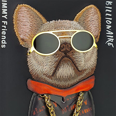 iPhone 15 Pro Uyumlu 3D Gözlük Zincir Köpek Detaylı Nakış İşlemeli Kabartmalı Cool Glasses Kılıf