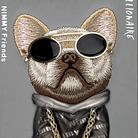 iPhone 16 Pro Uyumlu 3D Gözlük Dolar Zincir Köpek Nakış İşlemeli Kabartmalı Cool Glasses Kılıf