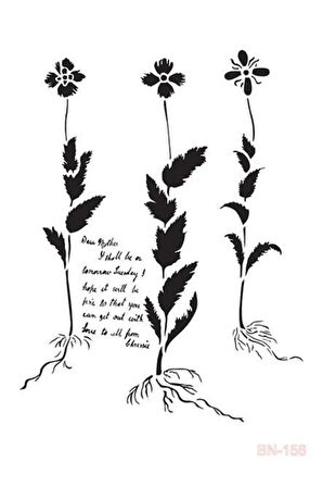 Bn156 25x35 Bn Serisi Stencil