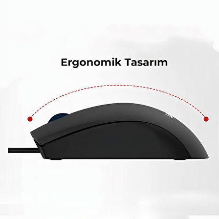 Lenovo Lecoo MS100 Kablolu Ofis Mouse Siyah