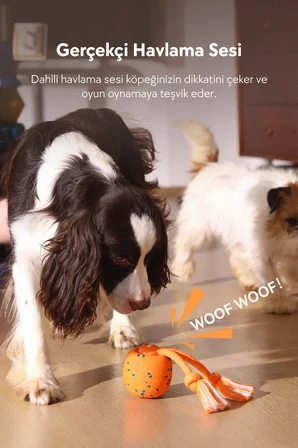 Zampa Cheerble Wicked Ball Rolly Şarjlı İnteraktif Köpek Oyuncak Topu