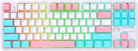 Ajazz K870T Pro Kablosuz Hot Swap Mekanik Oyun Klavyesi-RGB - 10 Adet Switch, Tuş ve Switch Sökme Aparatı Hediyeli (Beyaz - Red Switch)