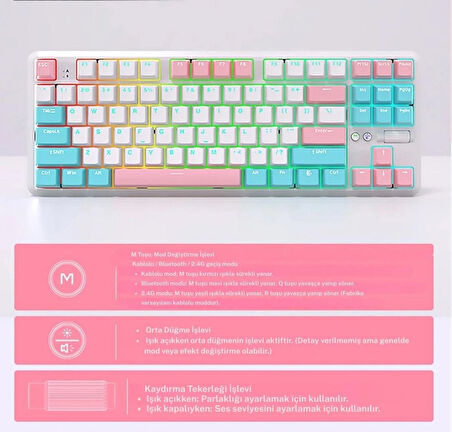 Ajazz K870T Pro Kablosuz Hot Swap Mekanik Oyun Klavyesi-RGB - 10 Adet Switch, Tuş ve Switch Sökme Aparatı Hediyeli (Beyaz - Red Switch)