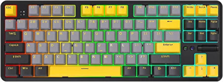 Ajazz K870T Pro Kablosuz Hot Swap Mekanik Oyun Klavyesi-RGB - 10 Adet Switch, Tuş ve Switch Sökme Aparatı Hediyeli  Siyah - Red Switch